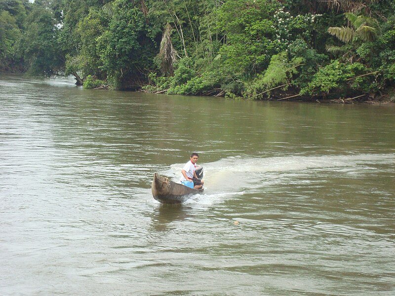 Río_Orteguaza1